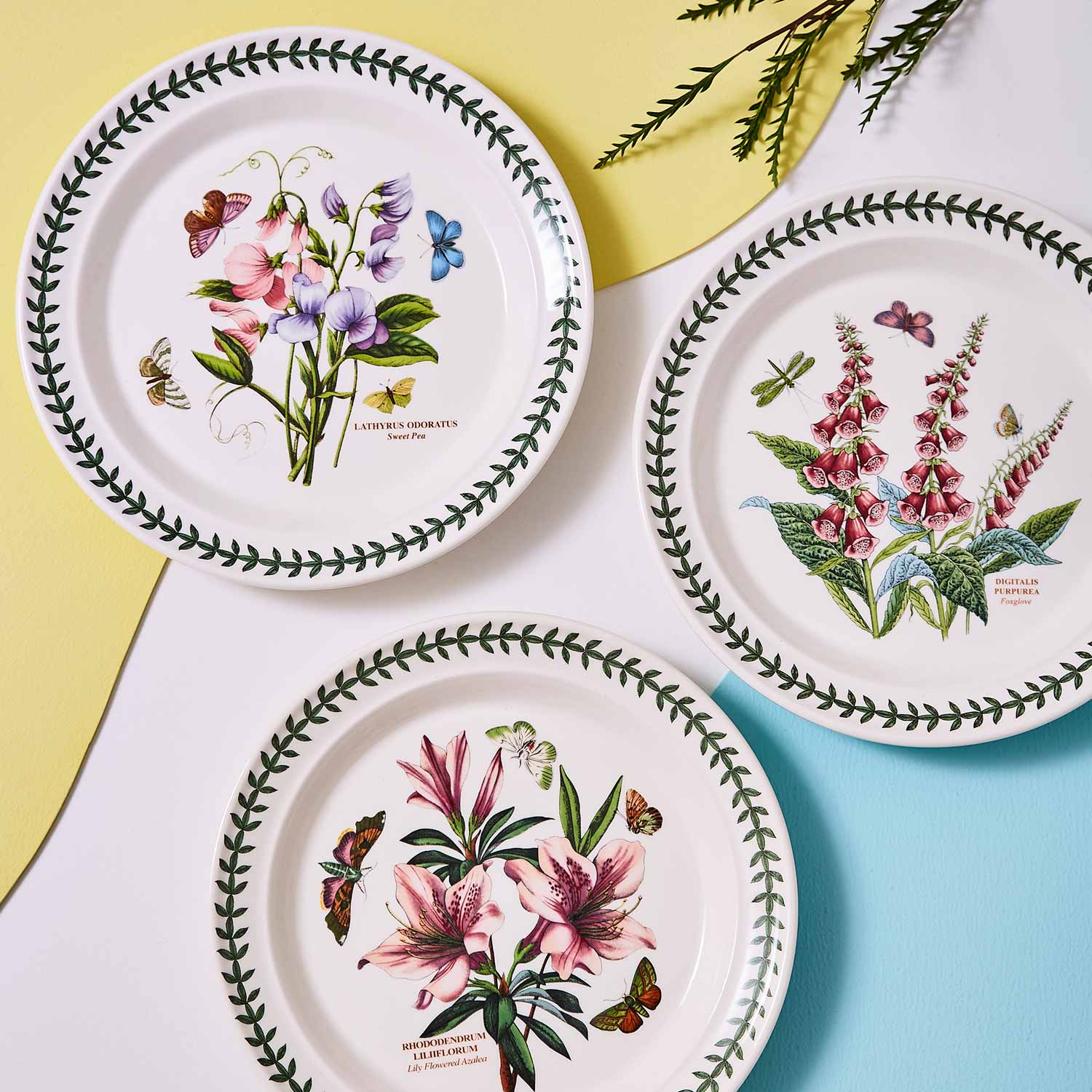 Botanic Garden 8.5 Inch Salad Plate Set of 6 (Assorted Motifs) image number null